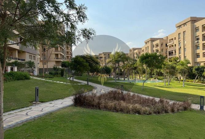 8250447 - Property Image 3