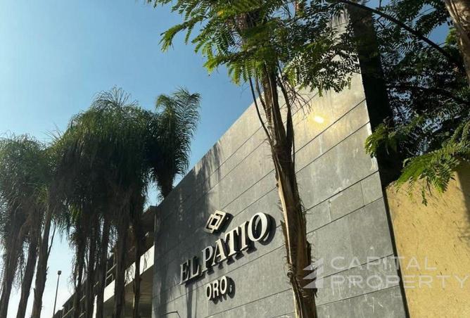 8553955 - صورة العقار 2