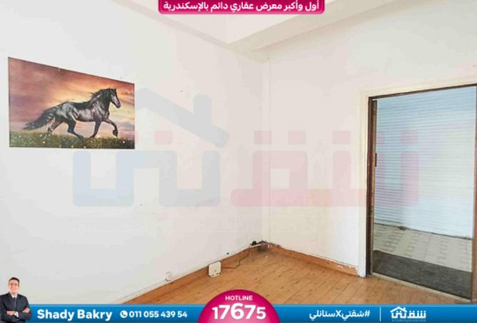 7887865 - Property Image 3