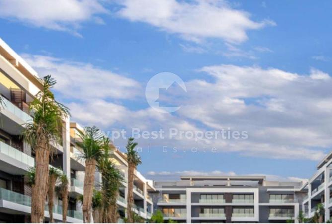 8272279 - صورة العقار 3