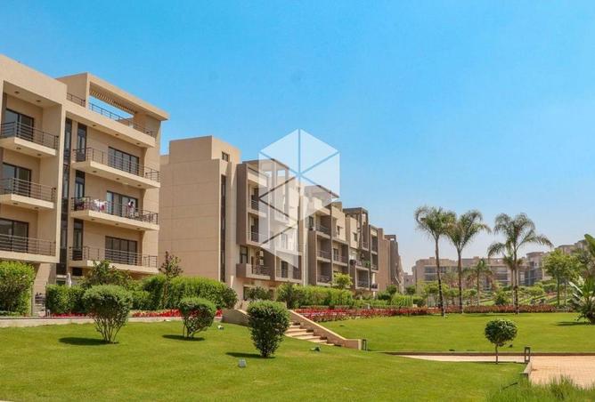 8246499 - صورة العقار 2