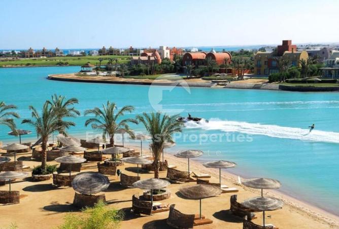 7897633 - صورة العقار 2