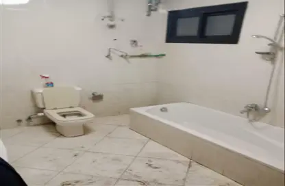 Office Space - Studio - 2 Bathrooms for rent in Nile Corniche St. - Al Agouza - Giza