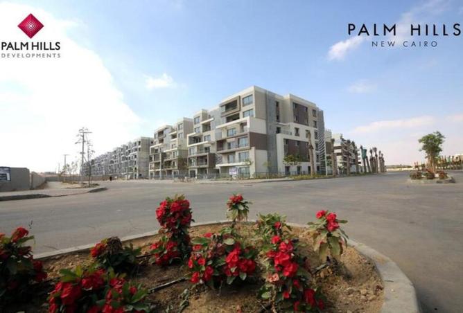 8117636 - Property Image 3