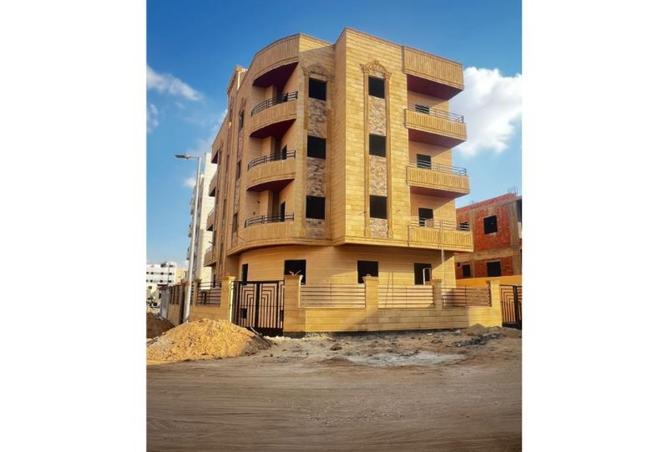 8174674 - Property Image 3