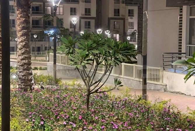 8068861 - Property Image 2