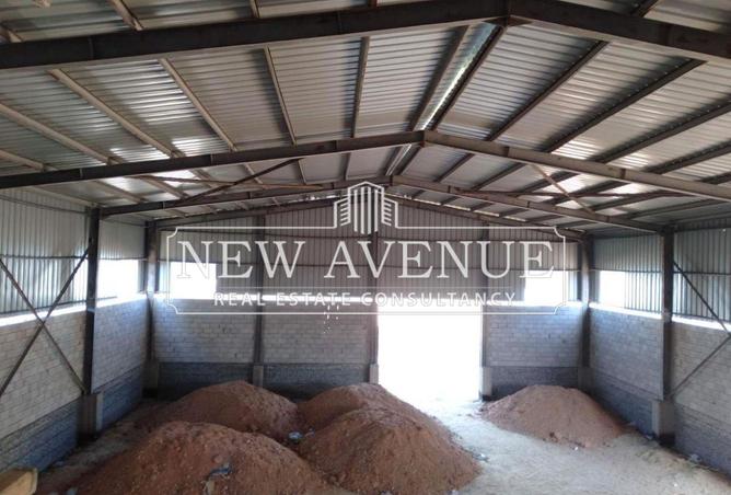 8149420 - Property Image 3