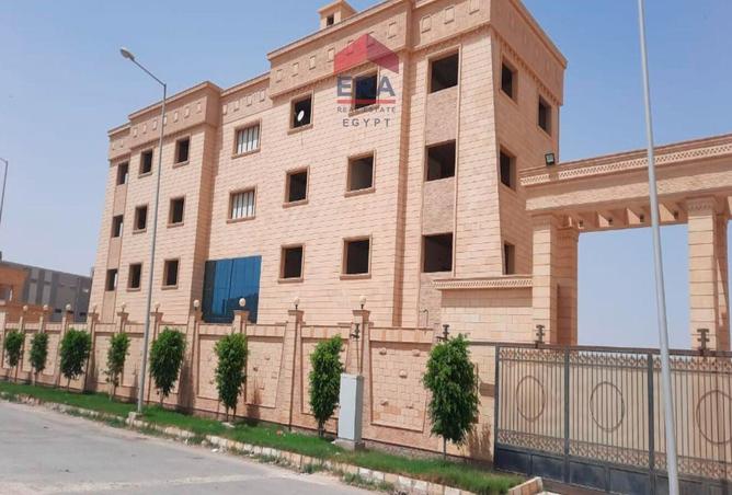 7895130 - صورة العقار 3