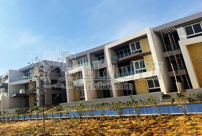 8088232 - Property Image 3
