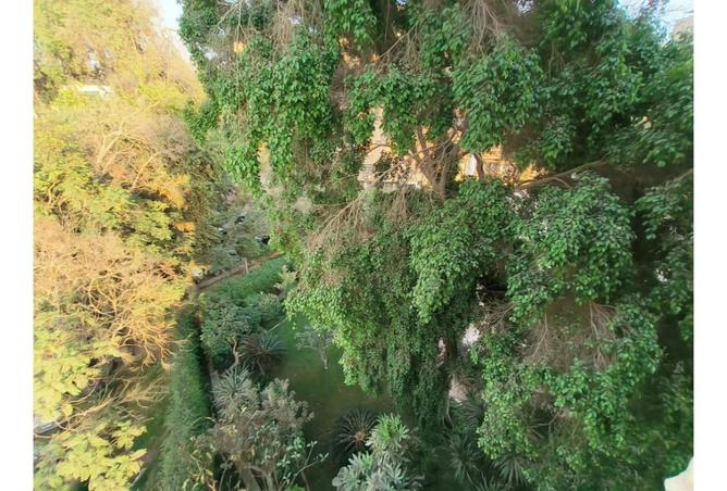 8392733 - صورة العقار 3