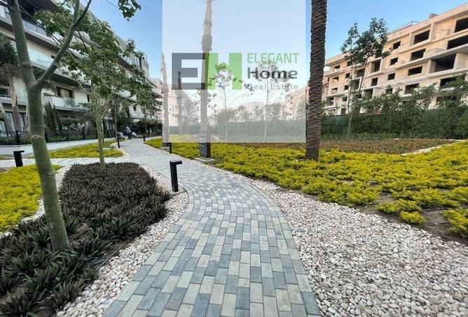 7944297 - Property Image 3