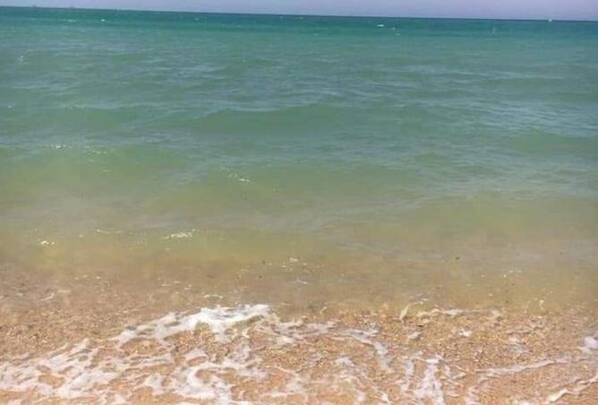 8351180 - Property Image 3