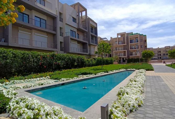 8364442 - Property Image 3