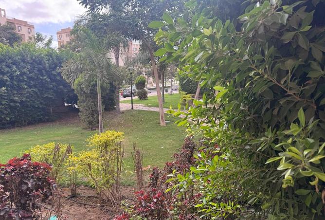 8261454 - صورة العقار 3