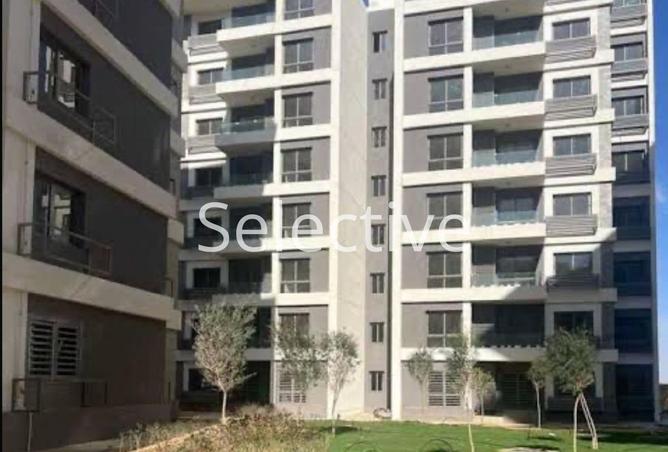 7919260 - Property Image 3