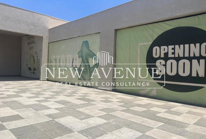 8315409 - Property Image 3