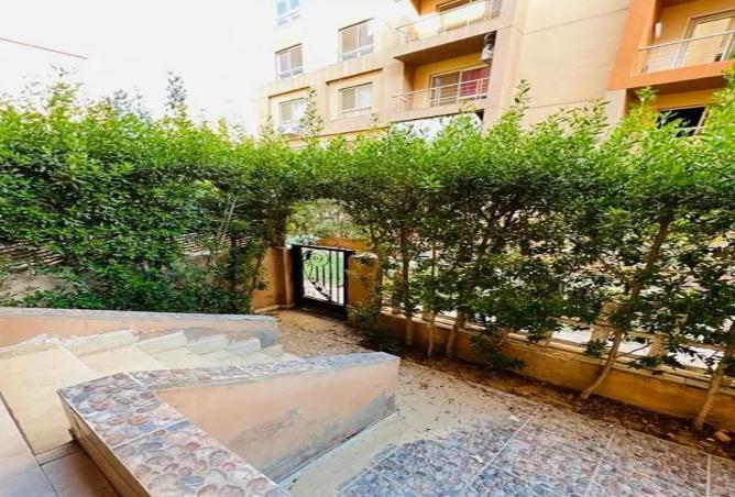 8013312 - Property Image 3