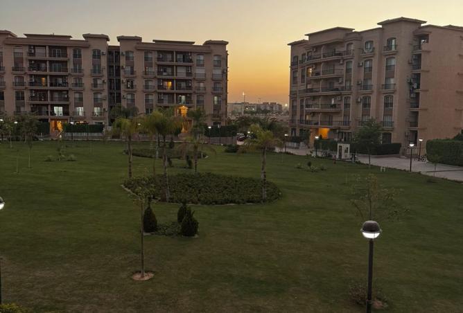 8144131 - Property Image 3