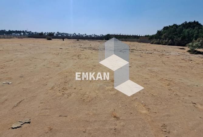 8554770 - صورة العقار 2