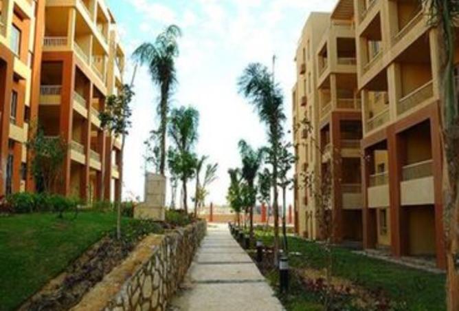 8540698 - Property Image 3