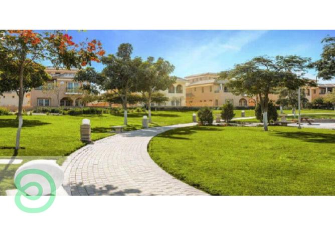 8295981 - صورة العقار 3