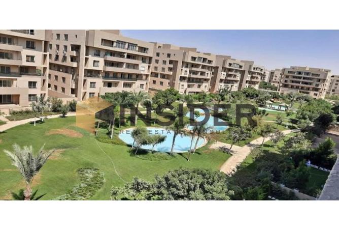 7969830 - صورة العقار 3