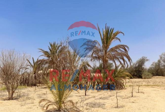 8038813 - صورة العقار 3