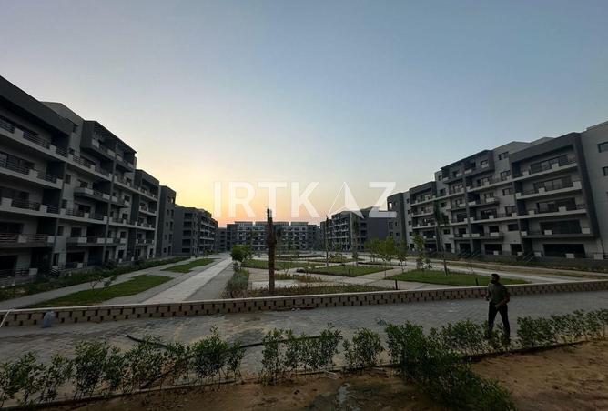 8436919 - Property Image 2