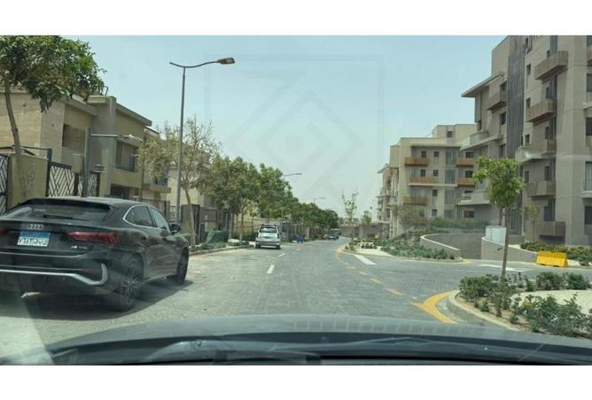 8041003 - Property Image 3