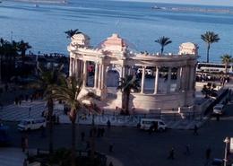 Office Space - 1 bathroom for للبيع in Al Gunday Al Maghool Square - El Mansheya - Hay El Gomrok - Alexandria Office Space - 1 bathroom for للبيع in Al Gunday Al Maghool Square - El Mansheya - Hay El Gomrok - Alexandria