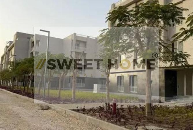 7973318 - Property Image 3