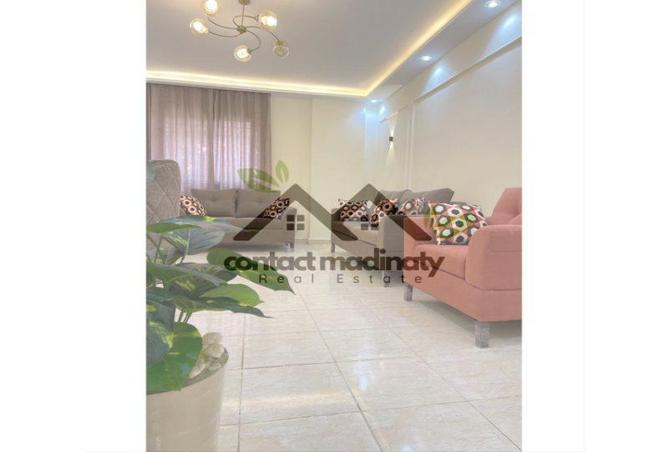 7980806 - Property Image 2
