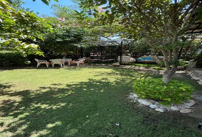 8297515 - صورة العقار 3