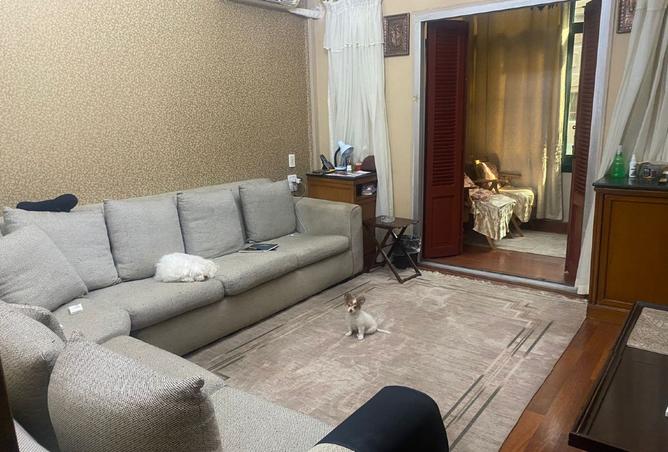 8061551 - صورة العقار 2