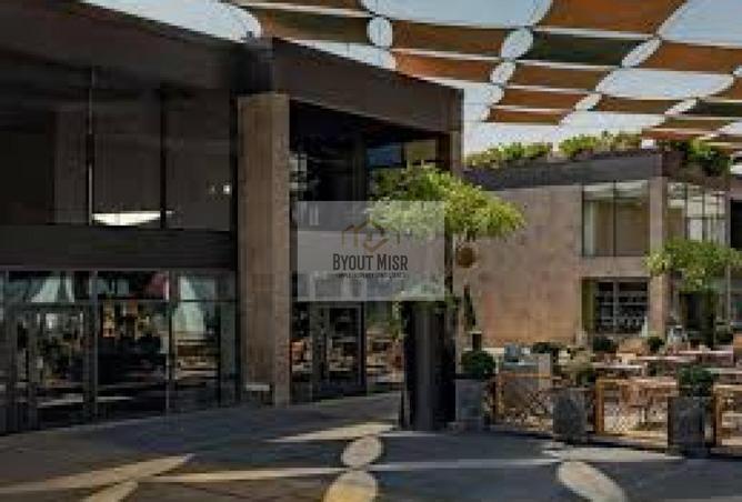 8396676 - Property Image 3