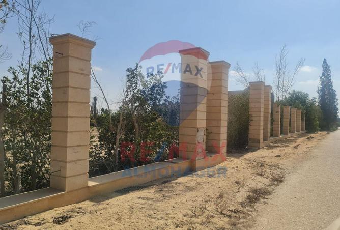 8245592 - Property Image 2