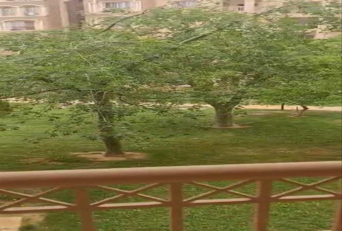 7980969 - صورة العقار 2