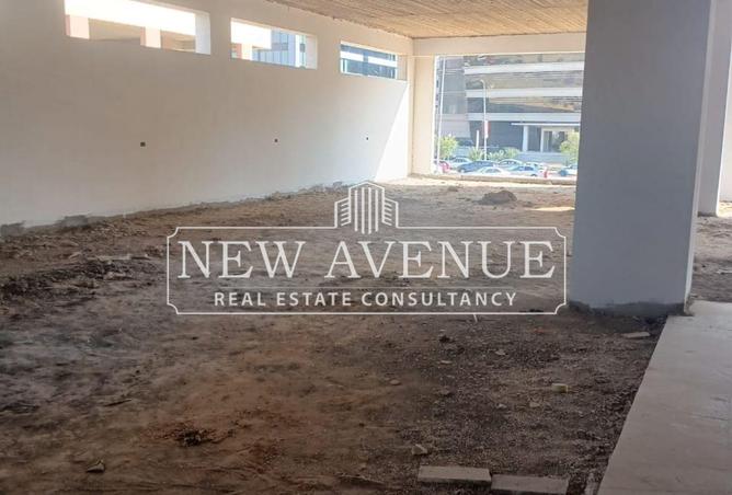 8094307 - Property Image 3