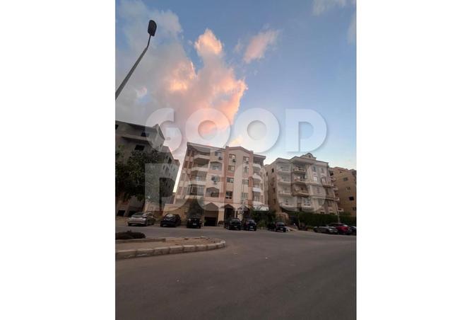 8313674 - Property Image 3