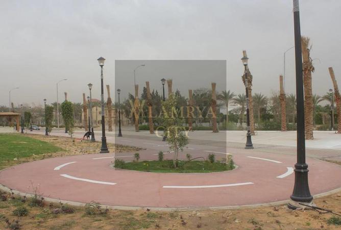 7954142 - صورة العقار 3
