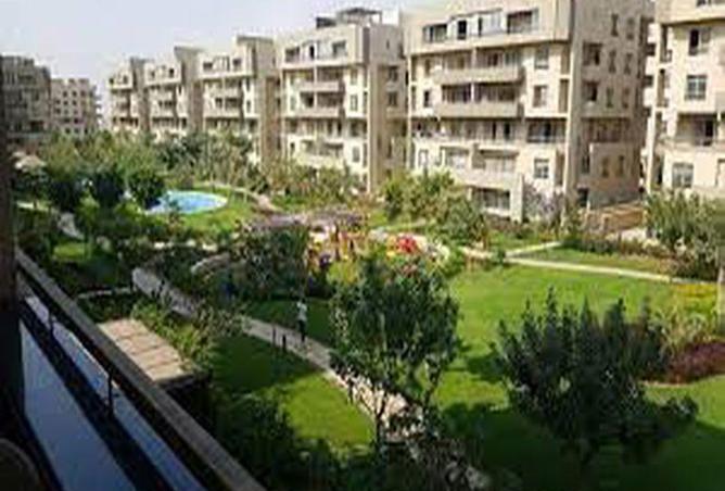 8057362 - صورة العقار 3