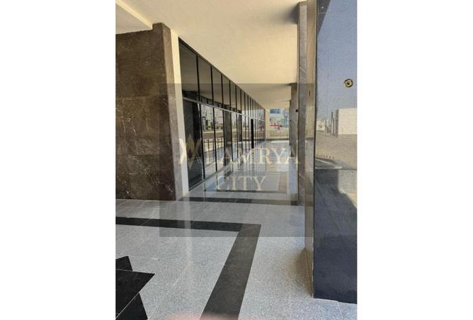 8331781 - Property Image 3