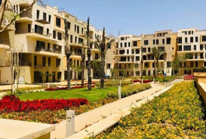 8387036 - Property Image 3