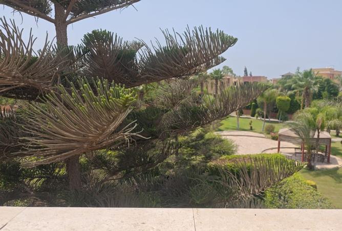 8481388 - Property Main Image