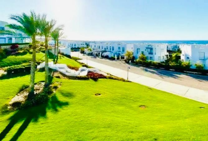 8032554 - صورة العقار 3