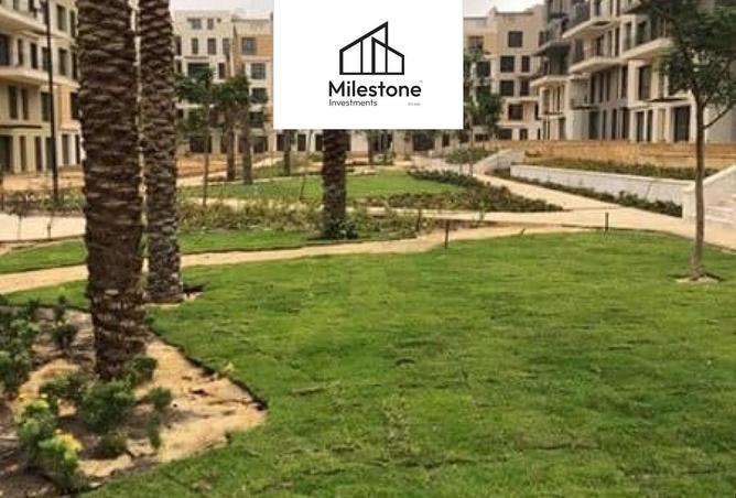8009937 - صورة العقار 2
