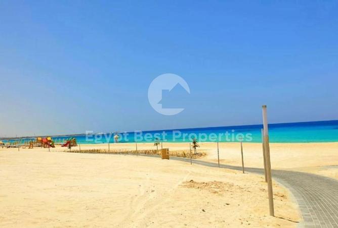 8194509 - Property Image 2