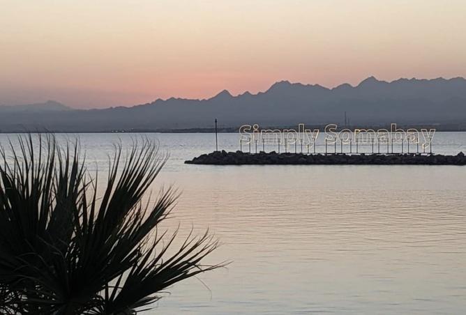 8005521 - صورة العقار 3