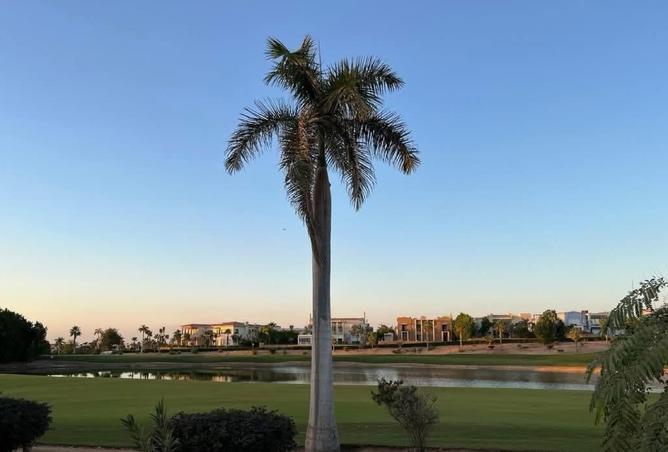 8315354 - Property Image 3