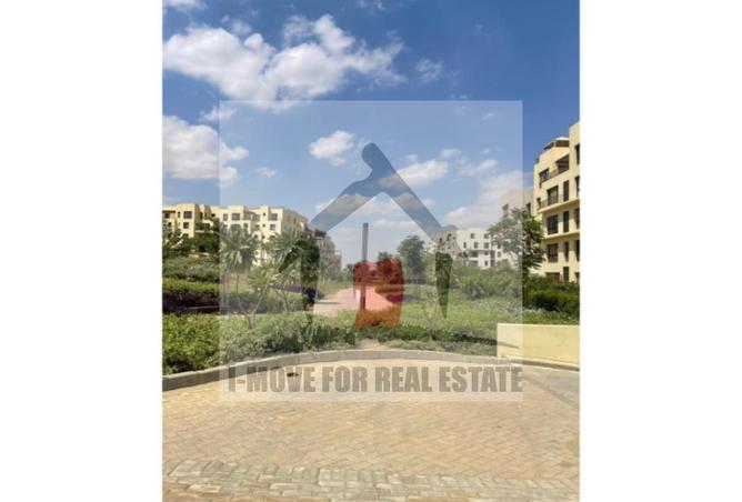 8065736 - Property Image 3